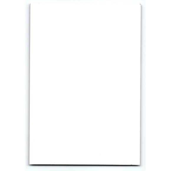 Vintage Halloween Postcard Gothic Children with Skull & Red Roses - Picture 2 of 2